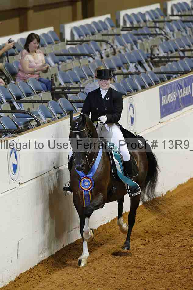 Proof Number 13r9_5208