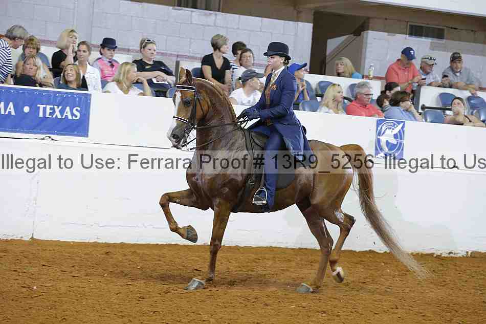 Proof Number 13r9_5256