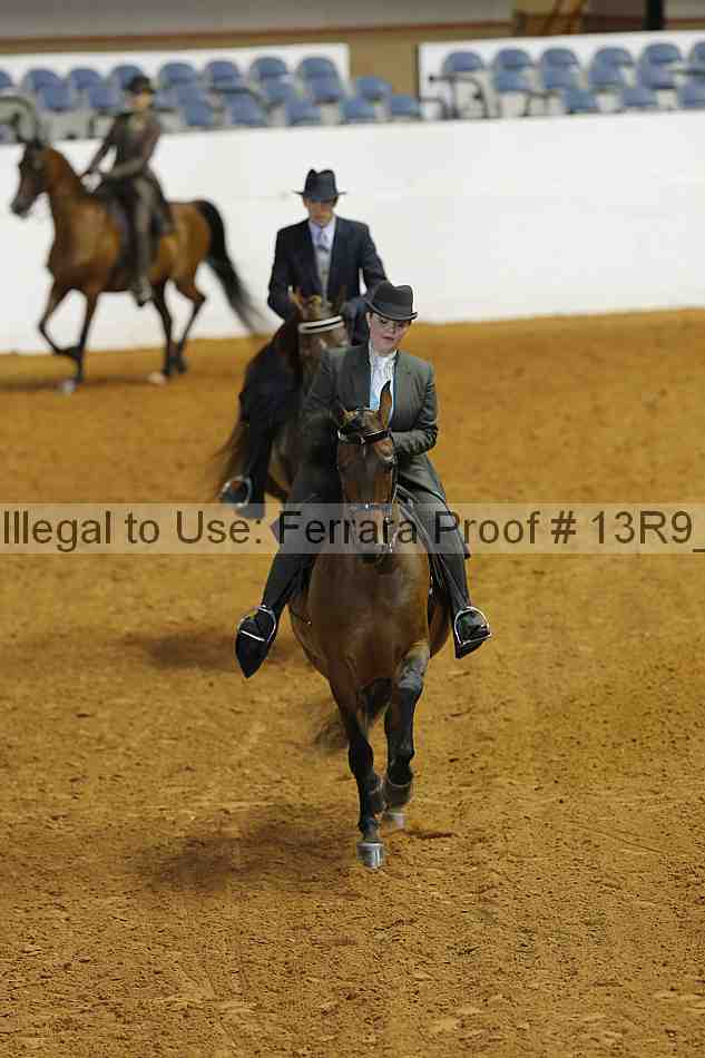 Proof Number 13r9_5258