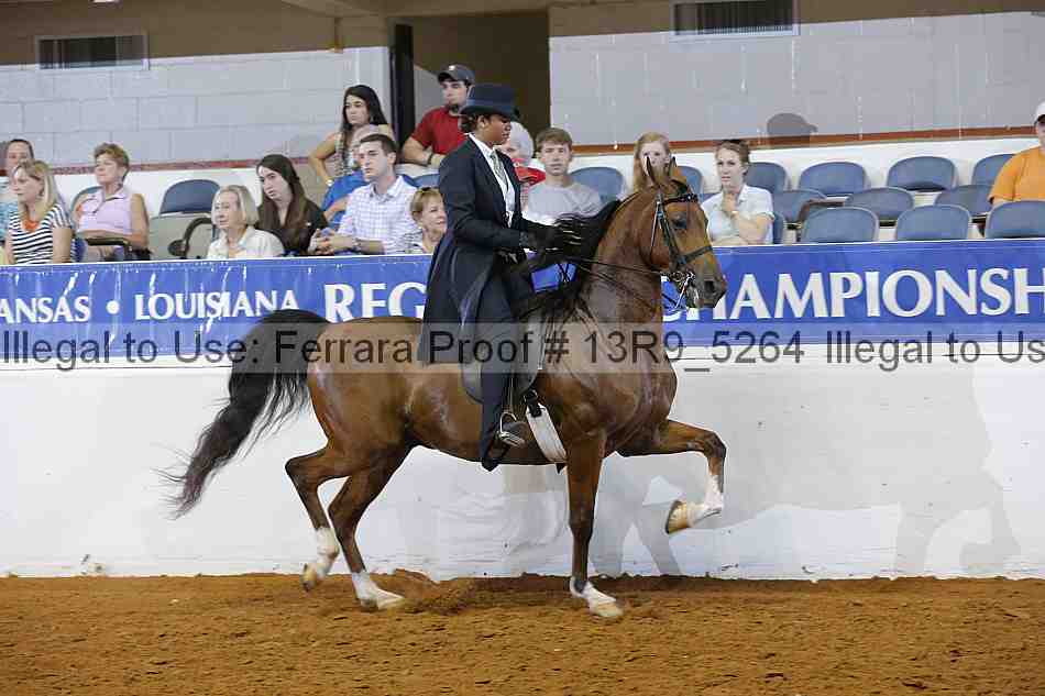 Proof Number 13r9_5264