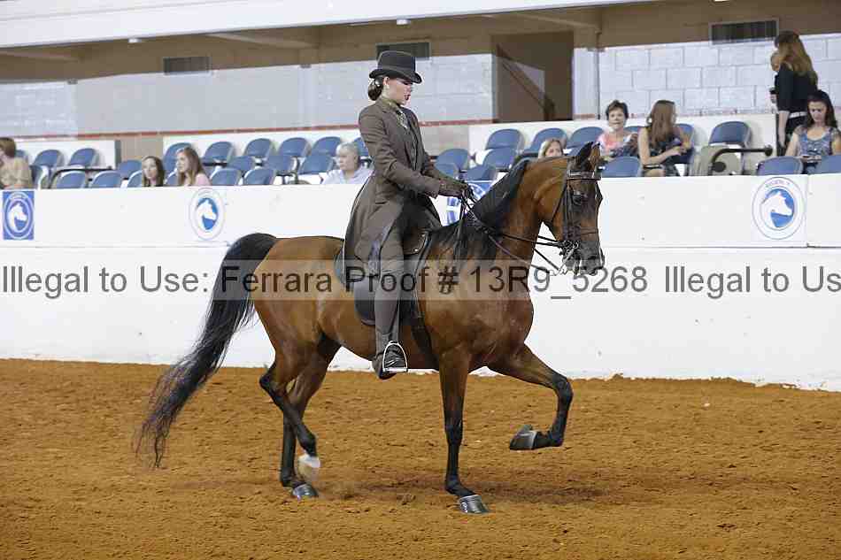 Proof Number 13r9_5268
