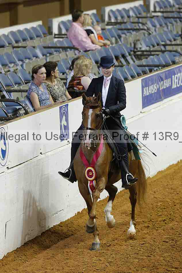 Proof Number 13r9_5278