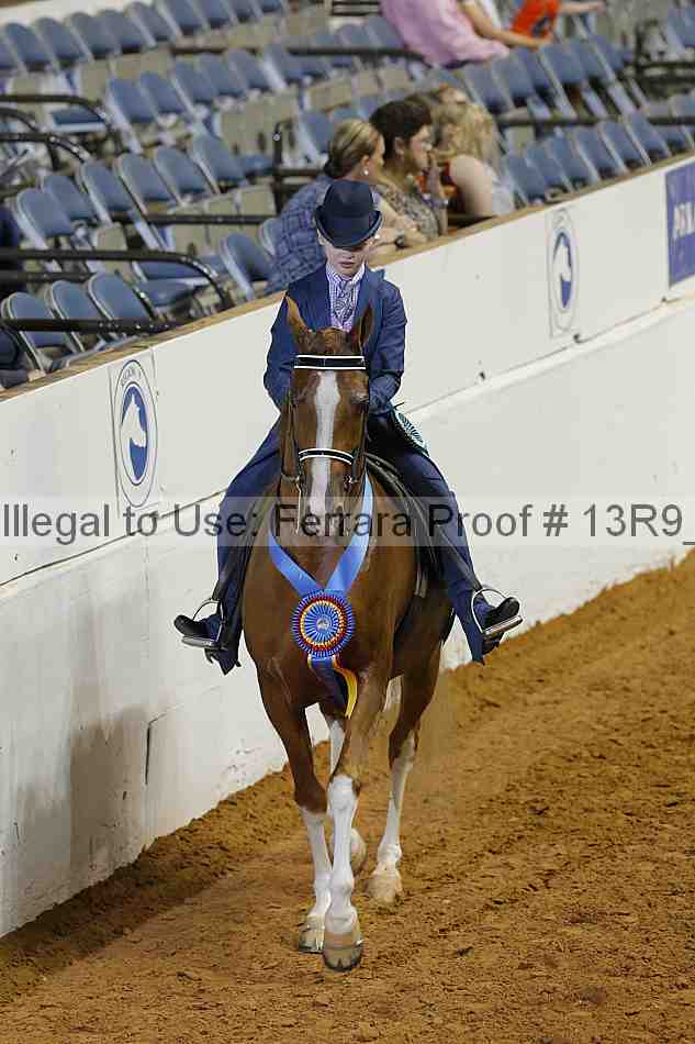 Proof Number 13r9_5286