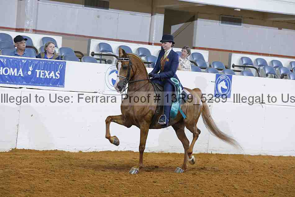 Proof Number 13r9_5289
