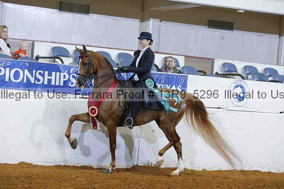 Proof Number 13r9_5296