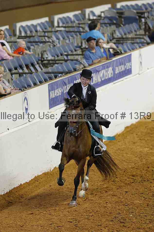 Proof Number 13r9_5297