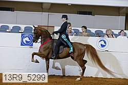 13r9_5299 thumbnail