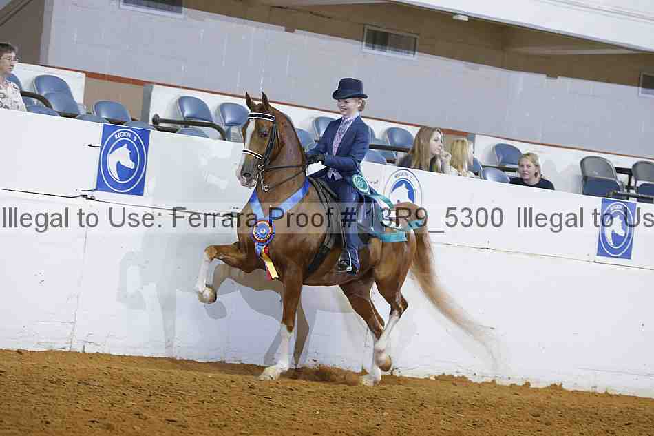 Proof Number 13r9_5300