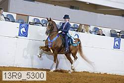 13r9_5300 thumbnail