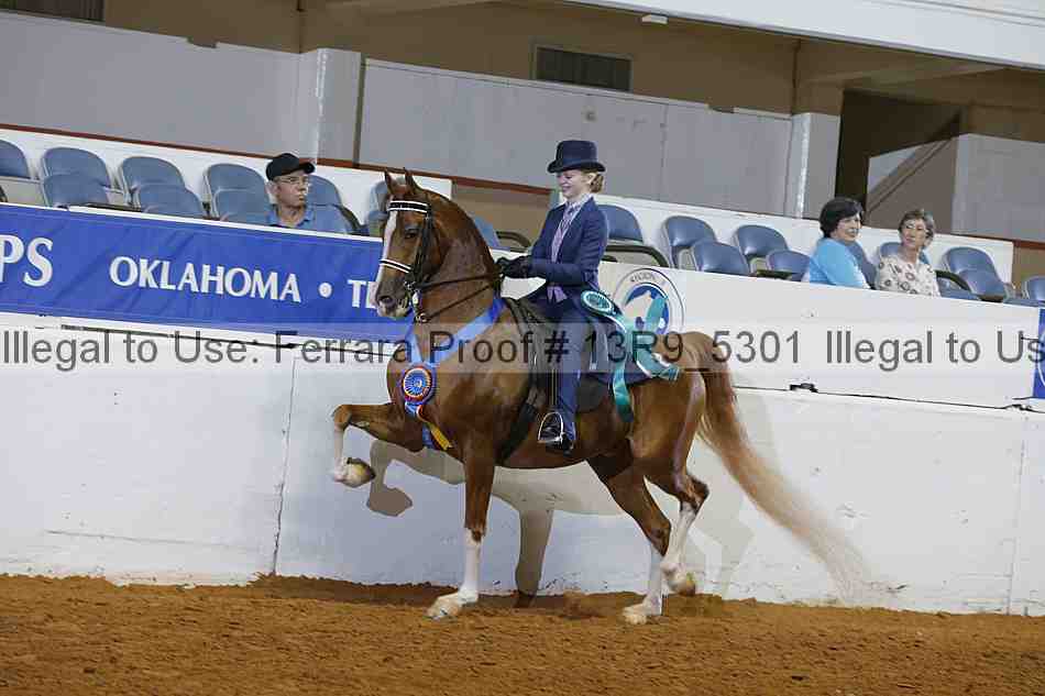 Proof Number 13r9_5301