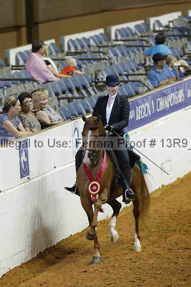 Proof Number 13r9_5302