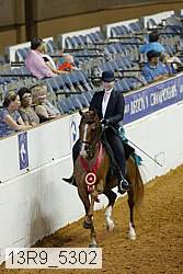 13r9_5302 thumbnail