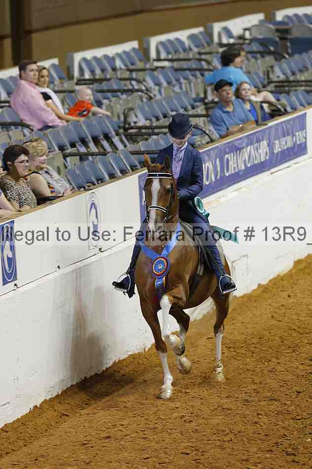 Proof Number 13r9_5305