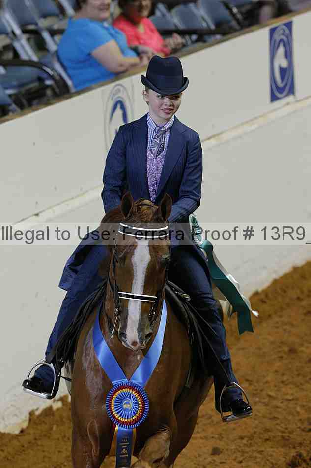 Proof Number 13r9_5306
