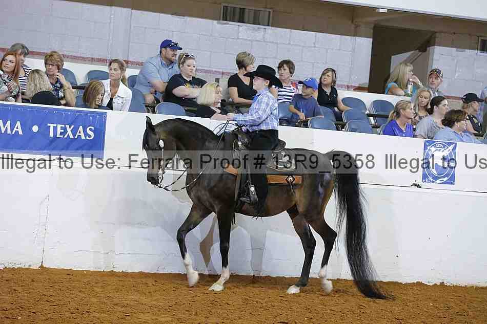 Proof Number 13r9_5358