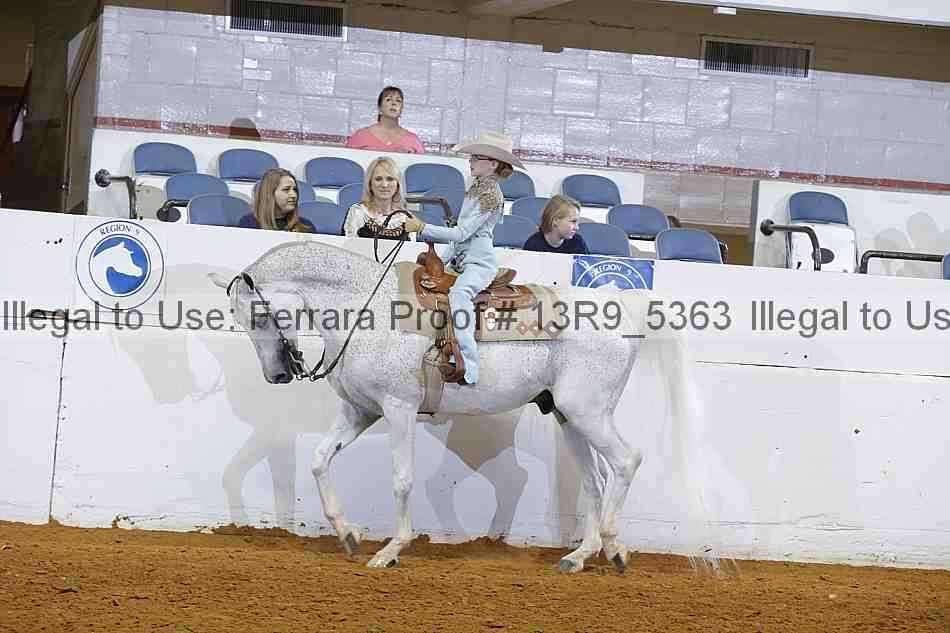 Proof Number 13r9_5363