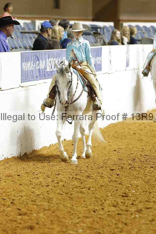 Proof Number 13r9_5367