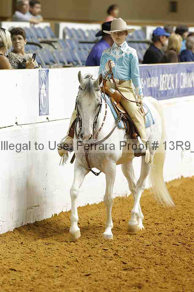 Proof Number 13r9_5368