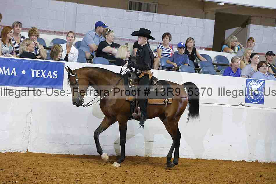 Proof Number 13r9_5370
