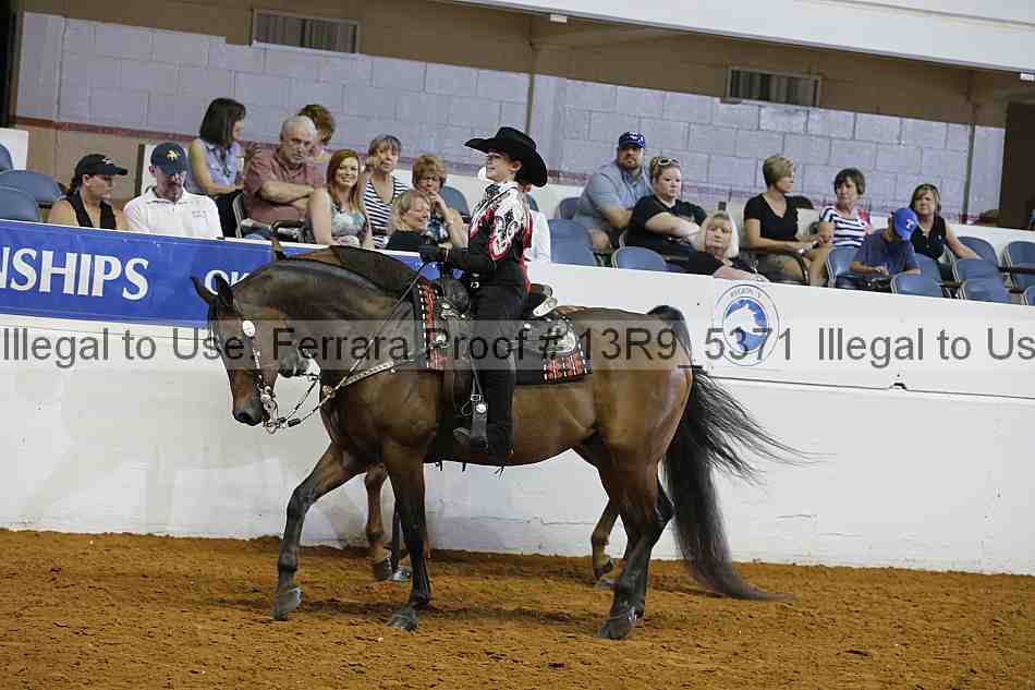 Proof Number 13r9_5371