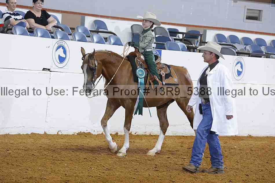 Proof Number 13r9_5388