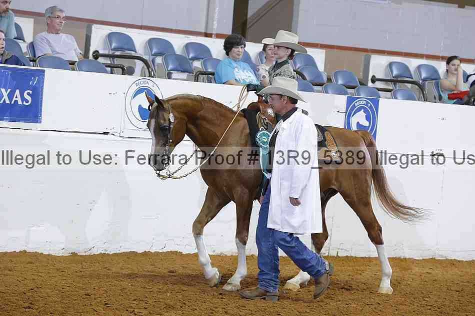 Proof Number 13r9_5389