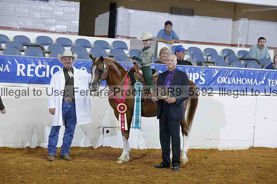 Proof Number 13r9_5392