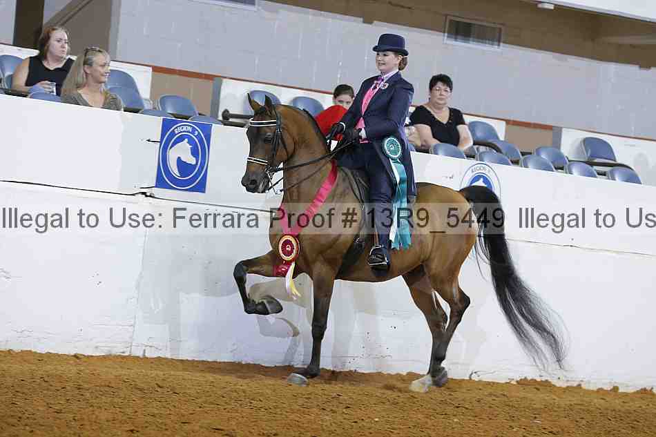 Proof Number 13r9_5449