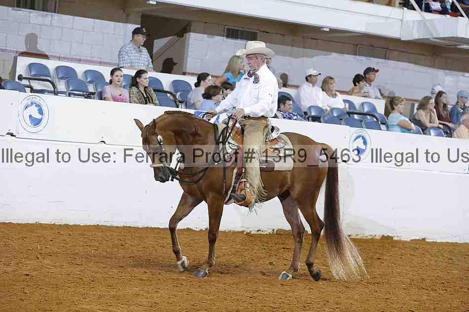 Proof Number 13r9_5463