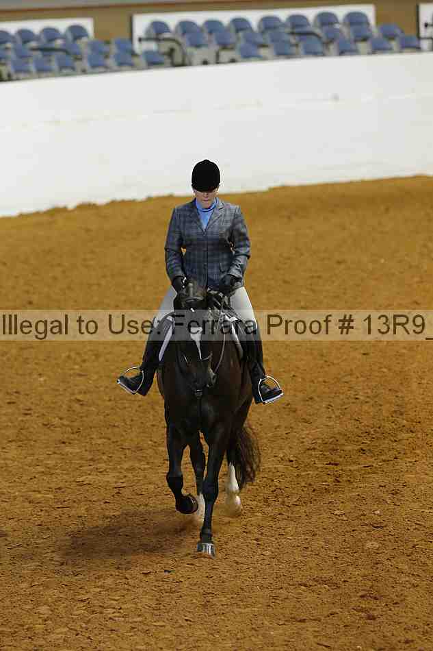 Proof Number 13r9_5535
