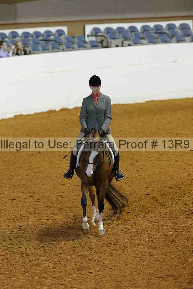 Proof Number 13r9_5538
