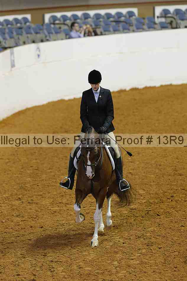 Proof Number 13r9_5541