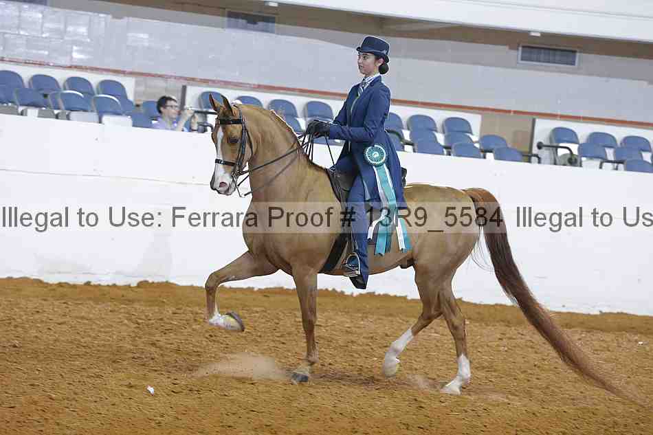 Proof Number 13r9_5584