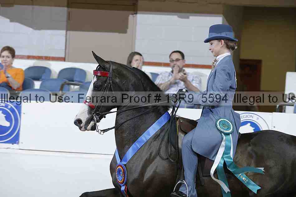 Proof Number 13r9_5594
