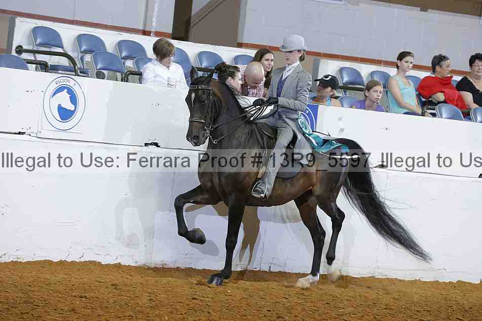 Proof Number 13r9_5597