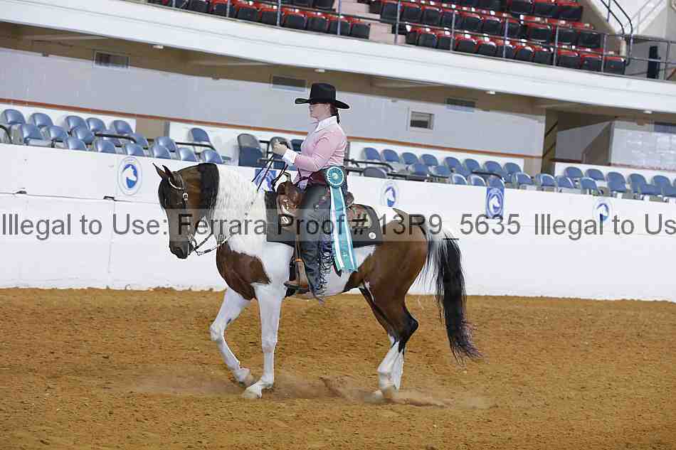 Proof Number 13r9_5635