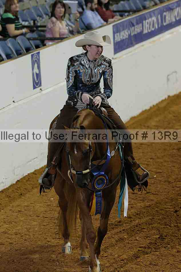 Proof Number 13r9_5651