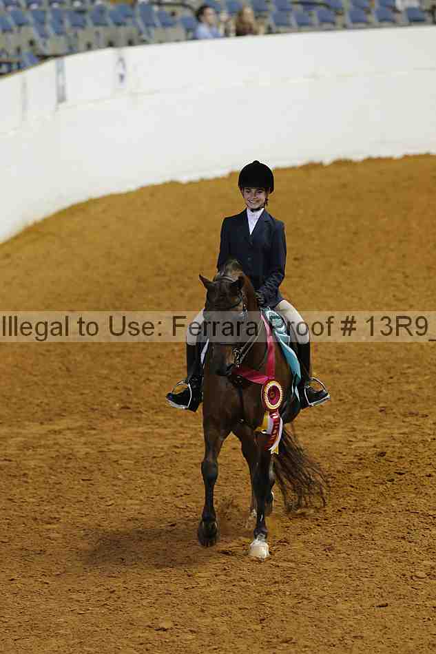 Proof Number 13r9_5744