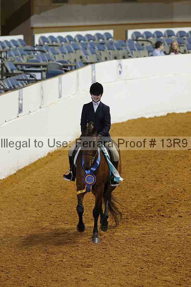 Proof Number 13r9_5748