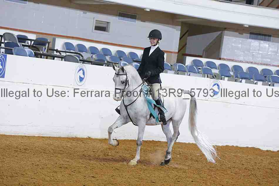 Proof Number 13r9_5793