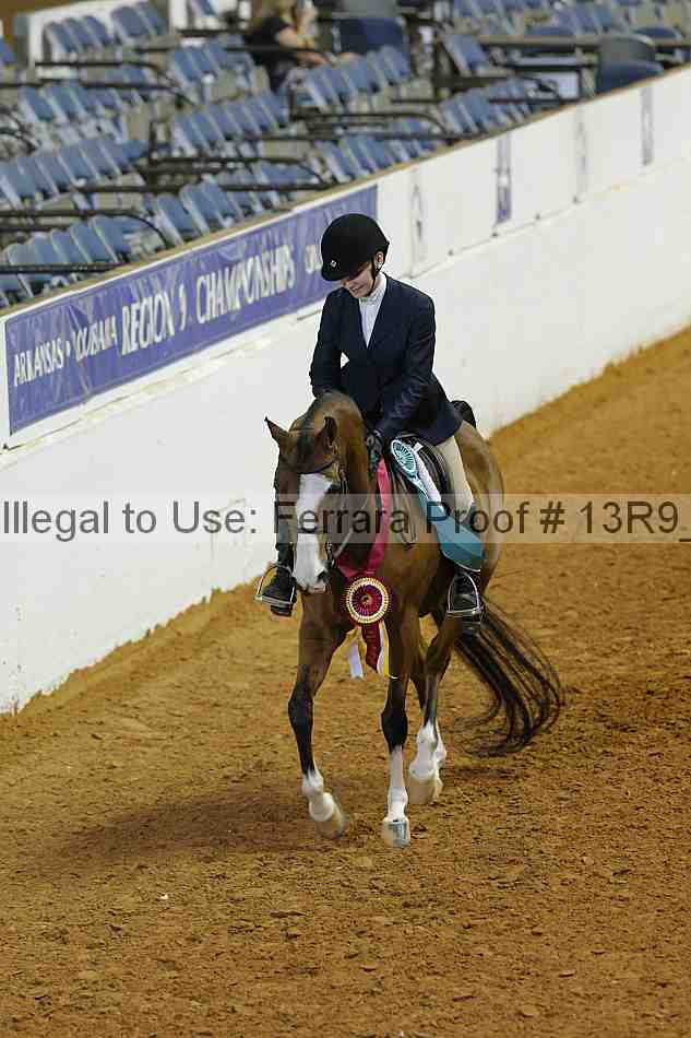 Proof Number 13r9_5808