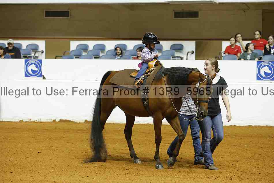 Proof Number 13r9_5965