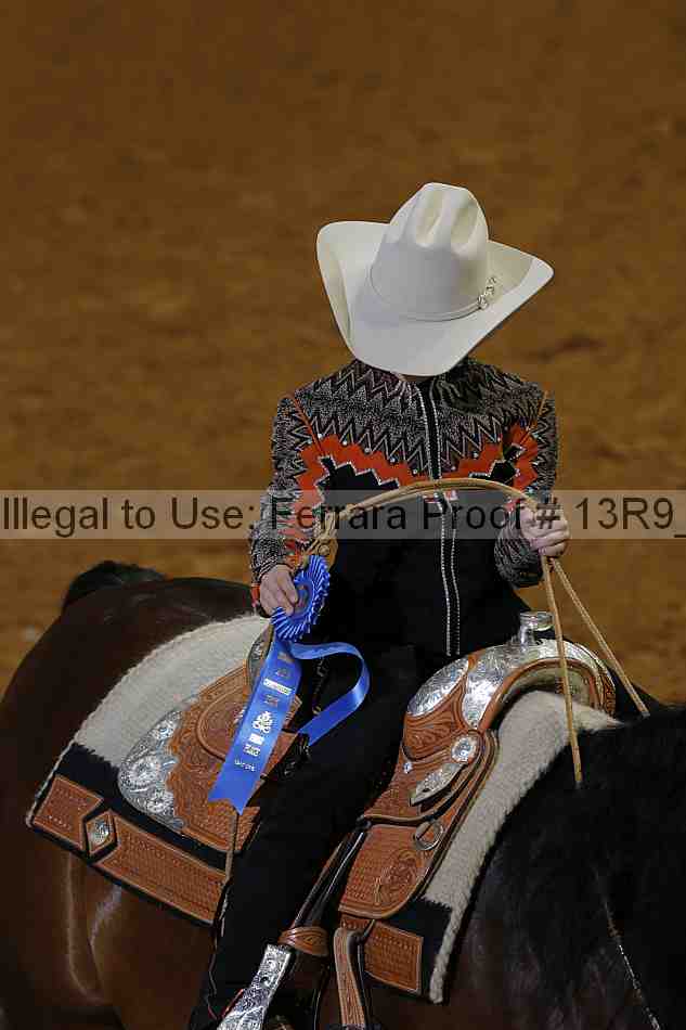 Proof Number 13r9_6025