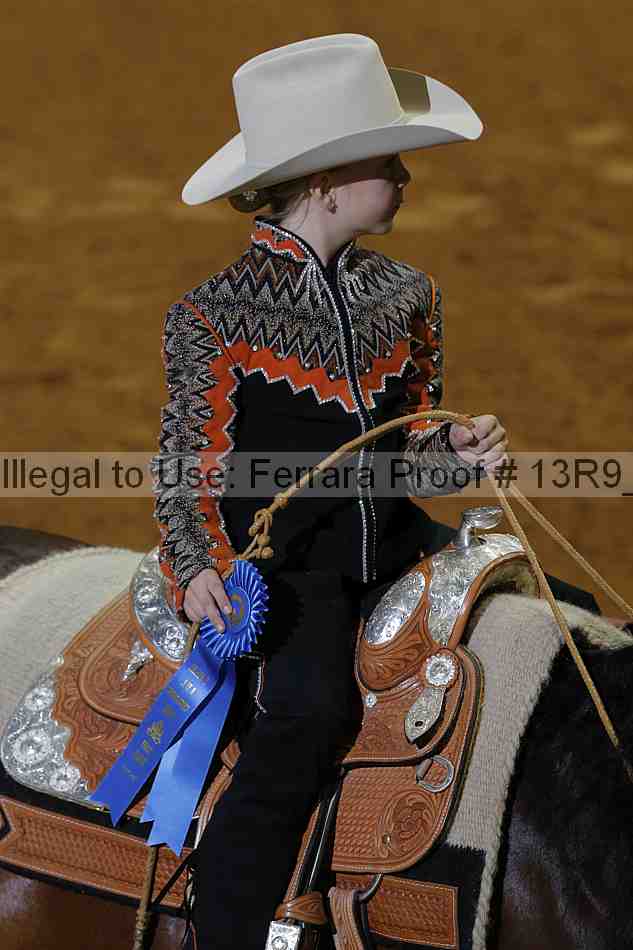 Proof Number 13r9_6027