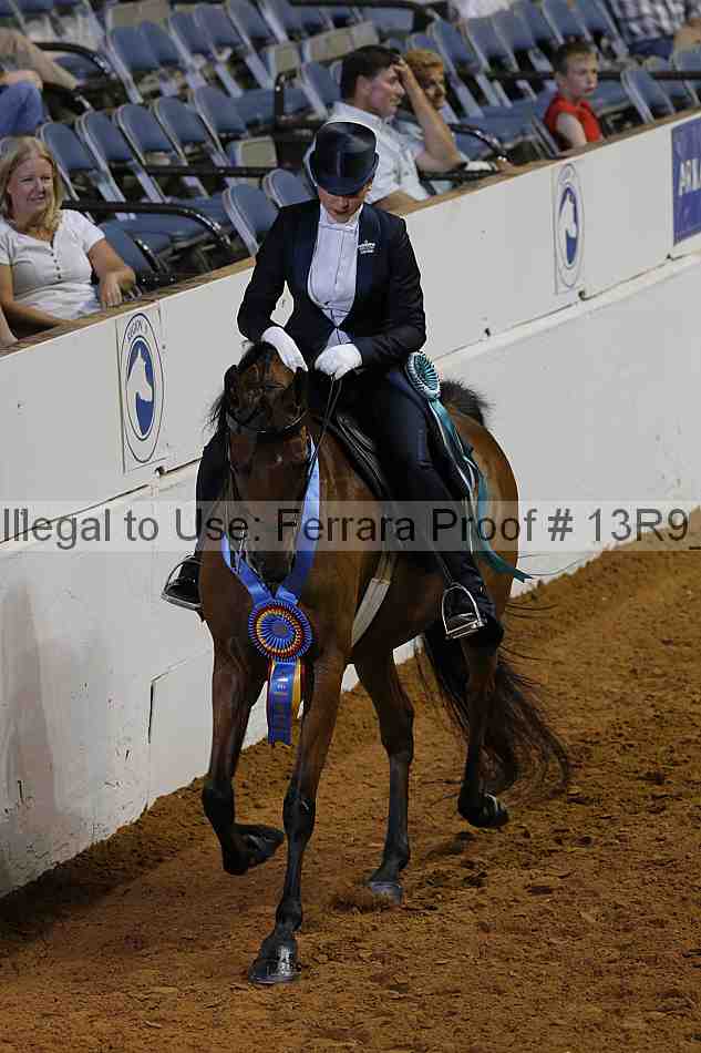 Proof Number 13r9_6194