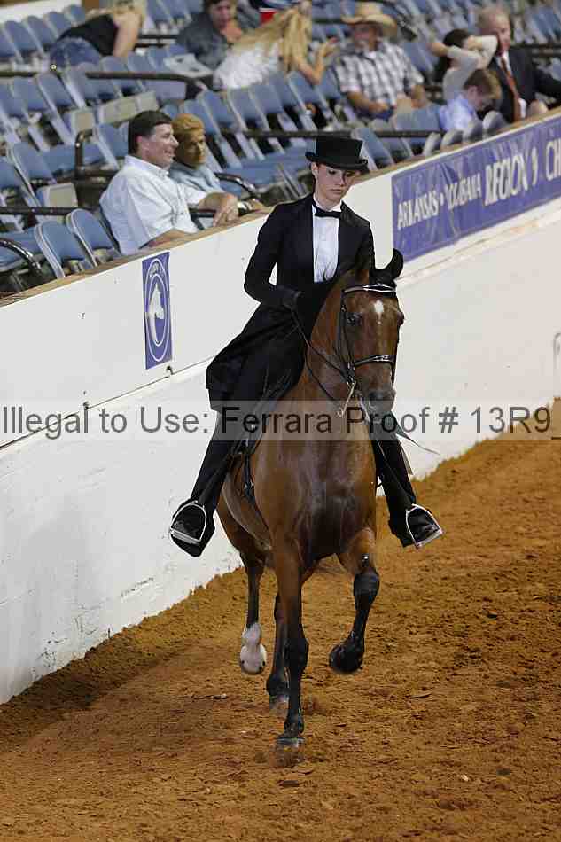 Proof Number 13r9_6204