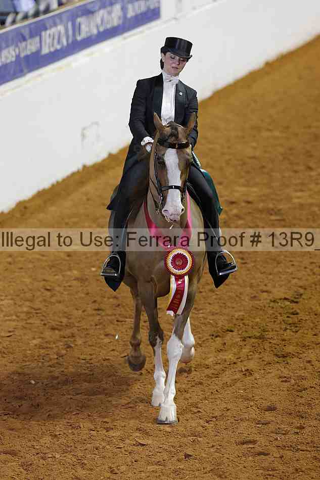 Proof Number 13r9_6208
