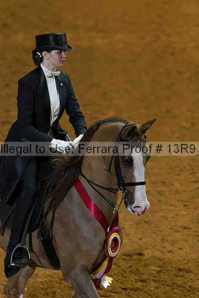 Proof Number 13r9_6209