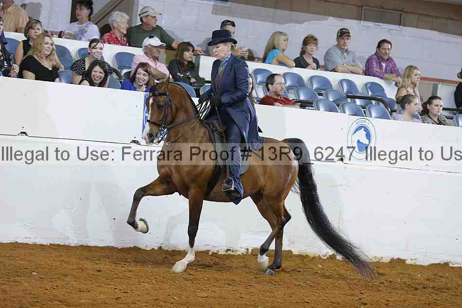 Proof Number 13r9_6247