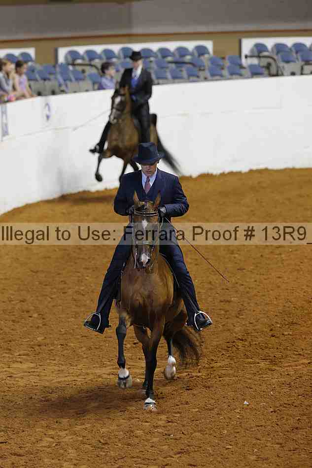 Proof Number 13r9_6249